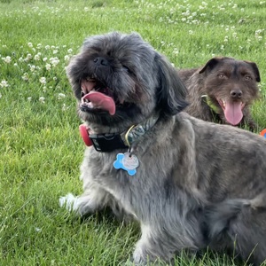 Fundraising Page: Jensen Sandoval